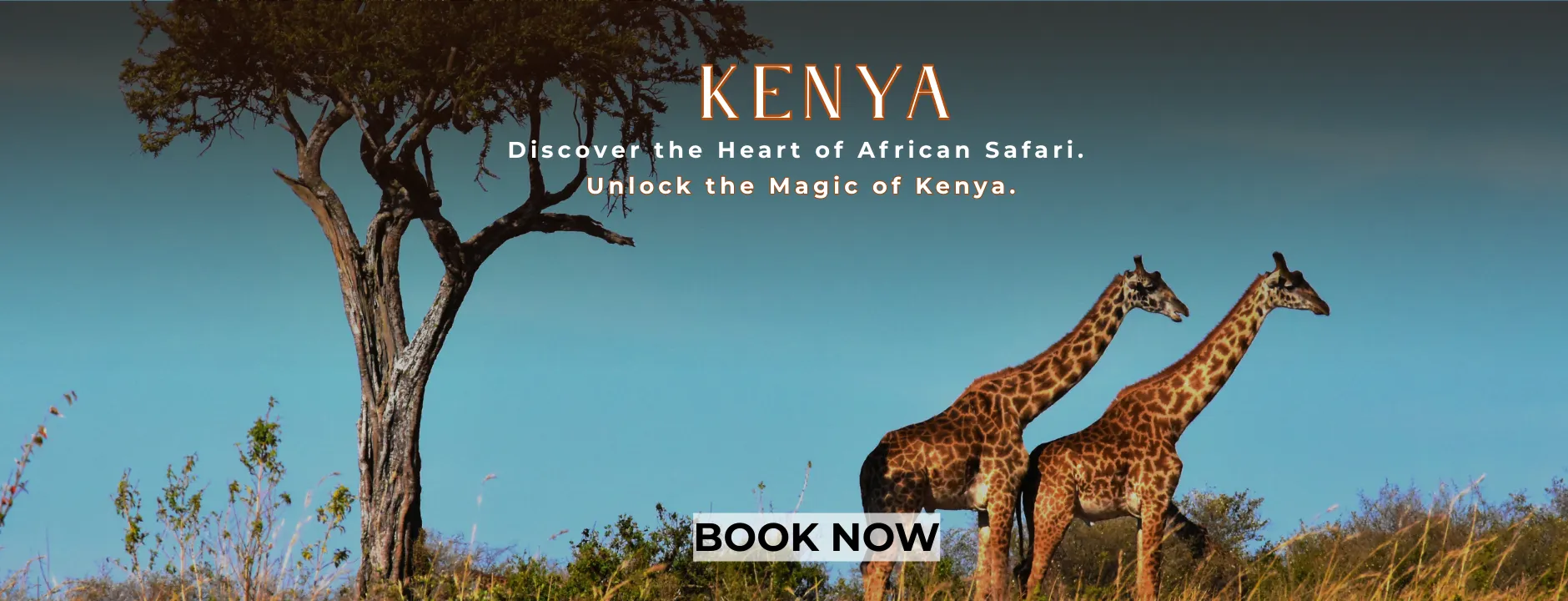 Experience the Wild Beauty of Kenya