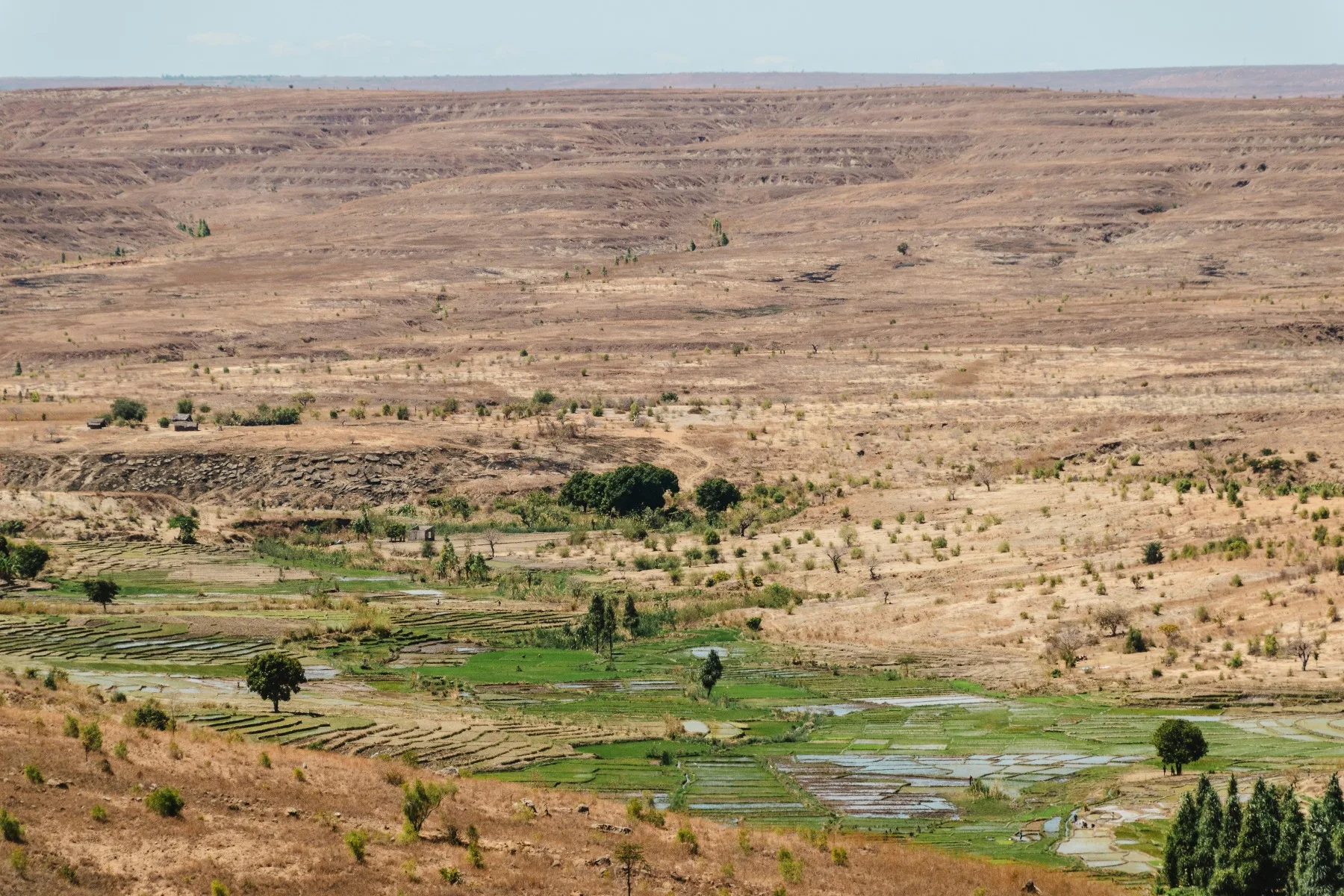 Sandstone formations and dry grassland in Isalo National Park, Madagascar