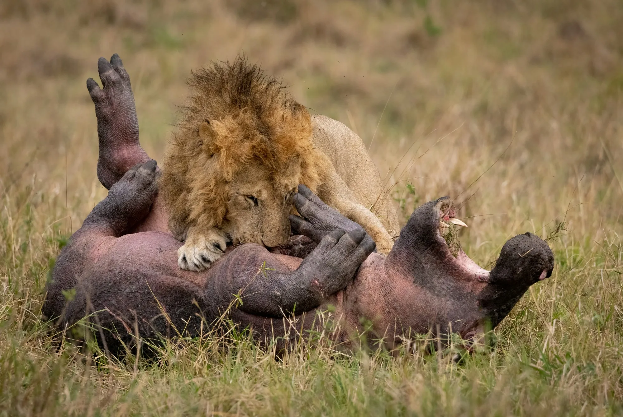 Masai Mara landscape photograph 3