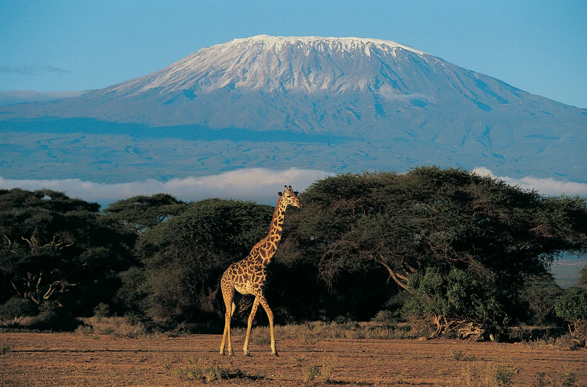 Kenya