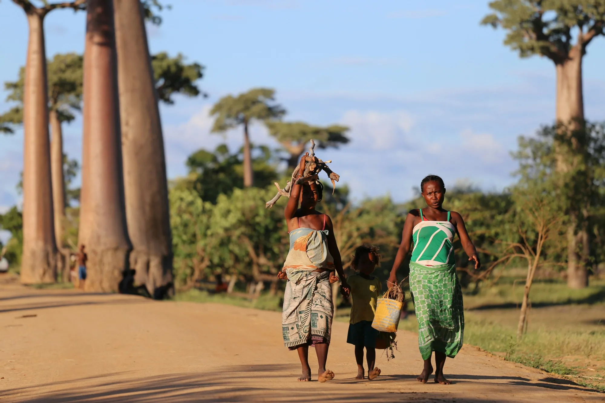 Avenue of the Baobabs & Morondava landscape photograph 1
