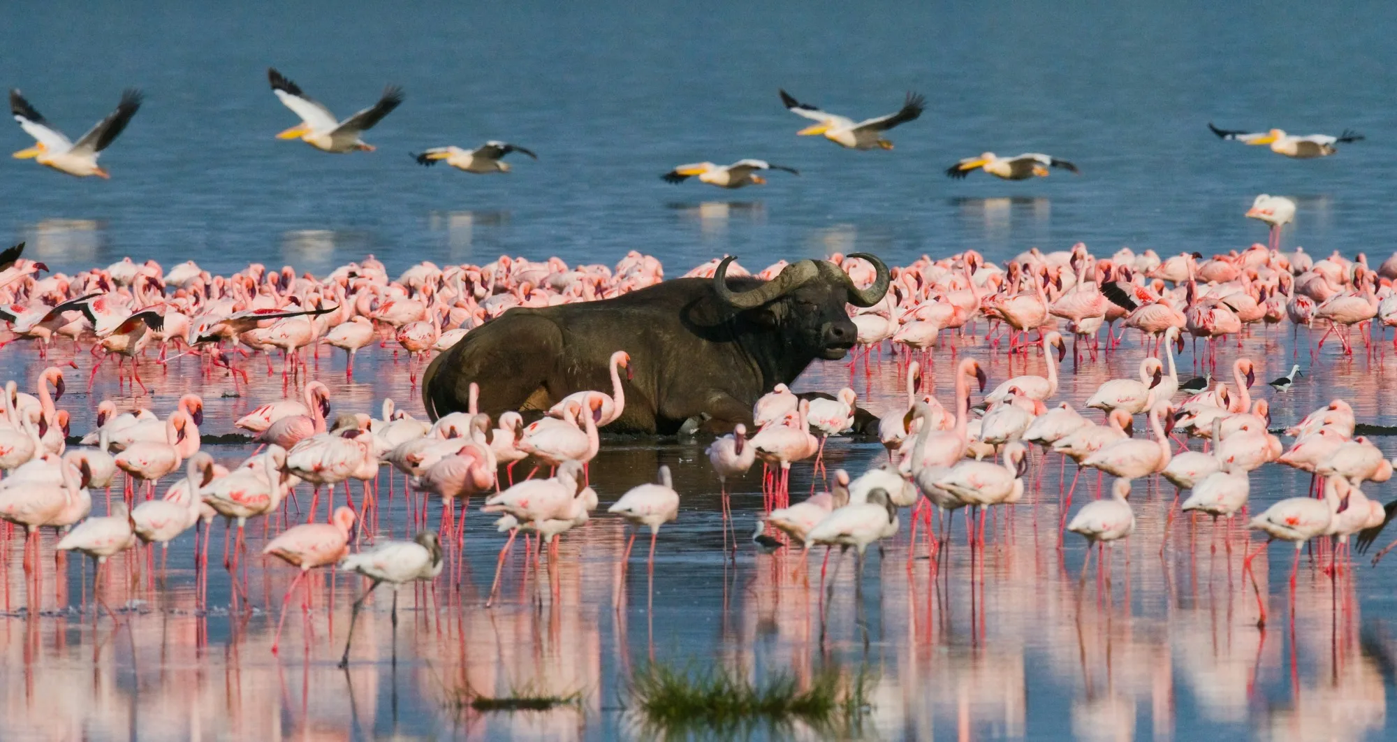 Lake Nakuru National Park landscape photograph 2