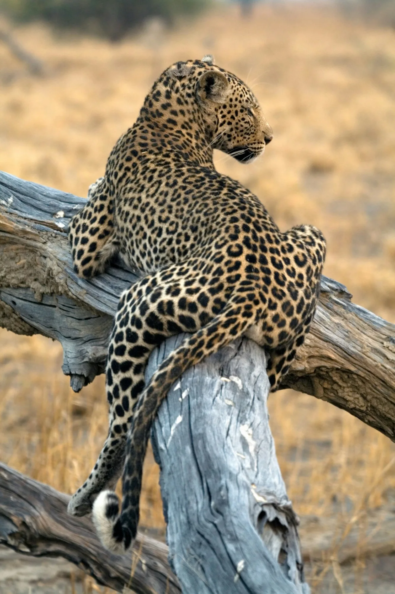 Lake Nakuru National Park landscape photograph 1