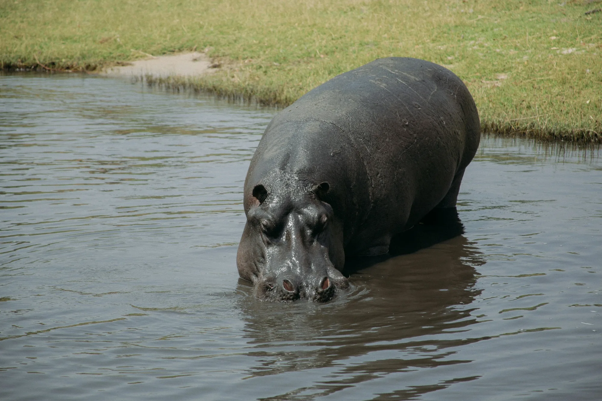 Chobe National Park landscape photograph 2