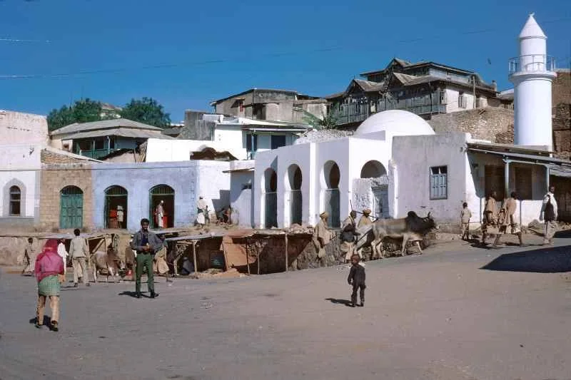 Harar Jugol landscape photograph 3