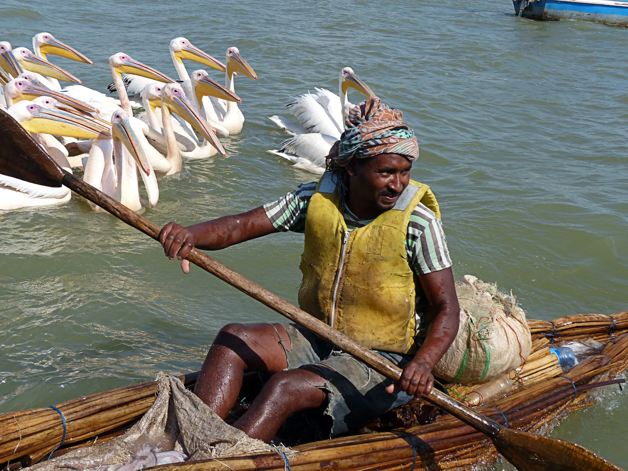 Tranquil blue waters and lush green forested shore of Lake Tana near Bahir Dar, Ethiopia