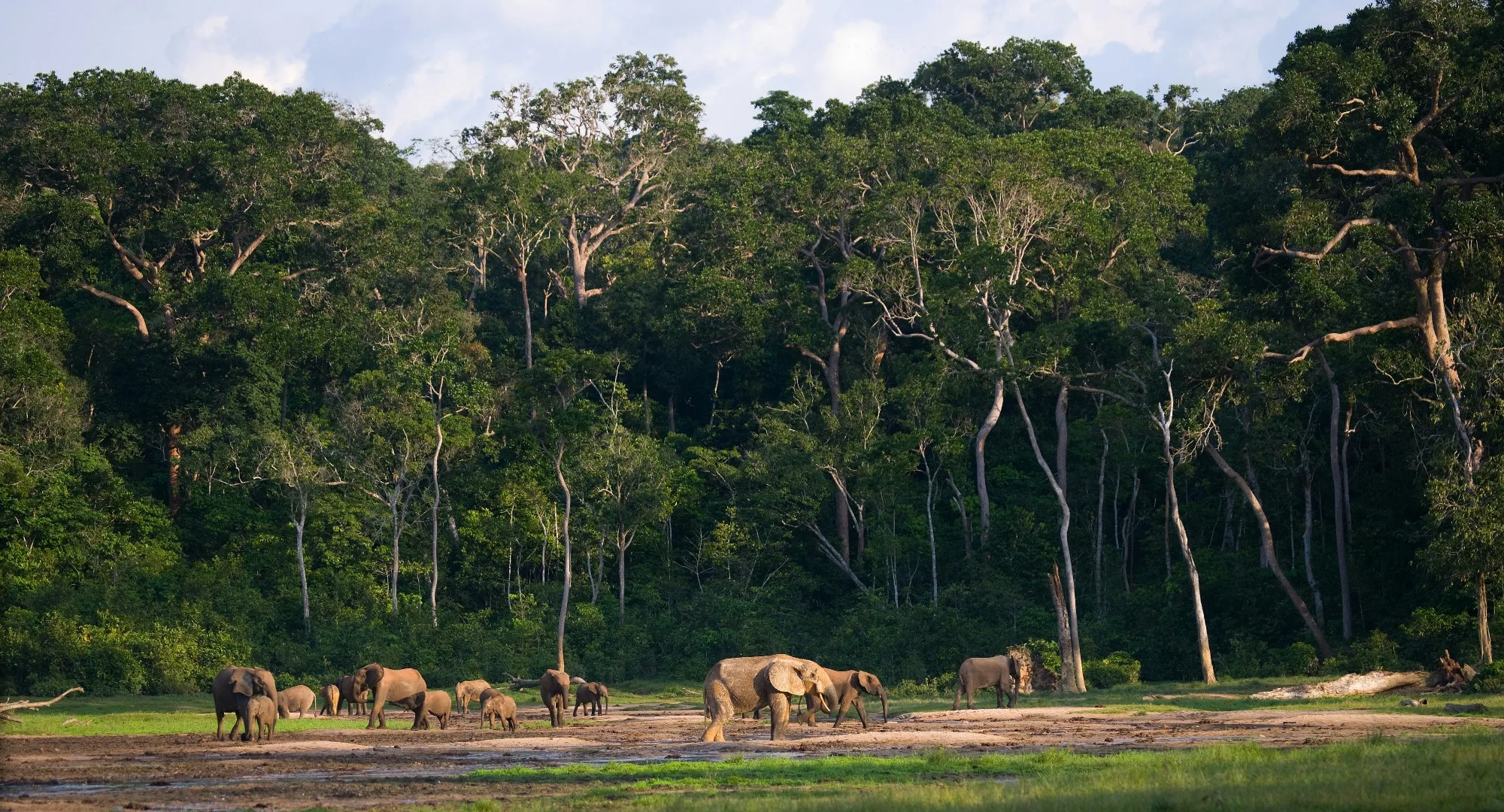 Kibale Forest National Park landscape photograph 1