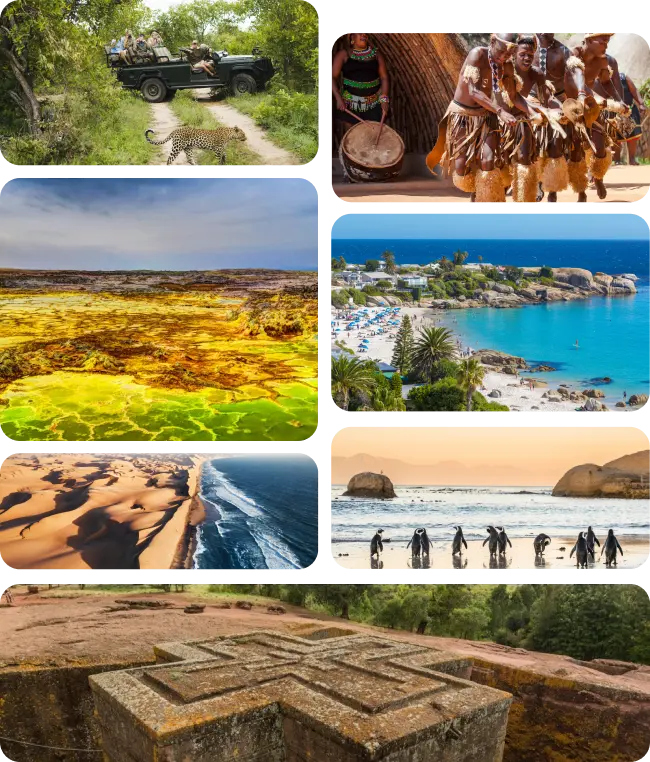 Honeymoon Trip
